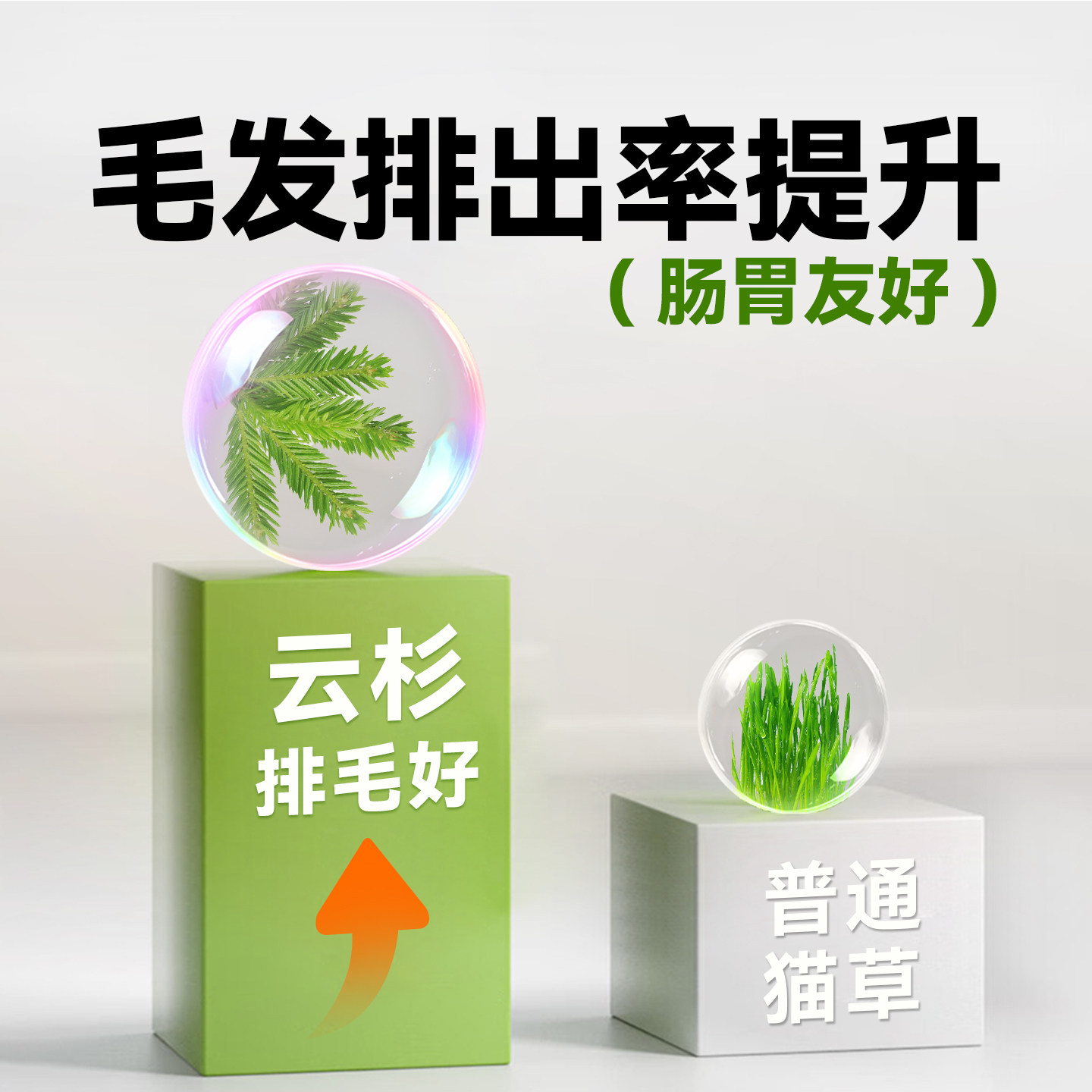 味当家冻干猫零食云杉排毛冻干鸡肉猫咪零食毛球克星猫草化毛球片,淘宝优惠券,粉丝福利购,淘宝优惠卷