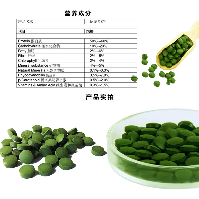 小球藻鱼食藻片胡子大帆异形鱼饲料底栖虾粮熊猫迷宫鼠鱼苗开口粮 - 图0