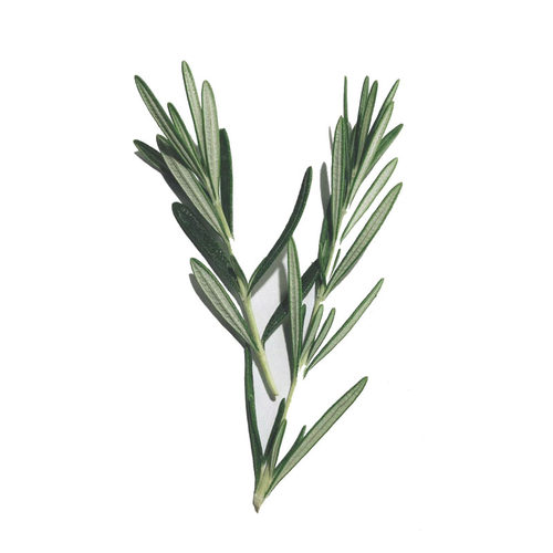 新鲜可食用蛋糕饮品烘培装饰叶子迷迭香三色堇清香木薄荷酸膜叶 - 图2