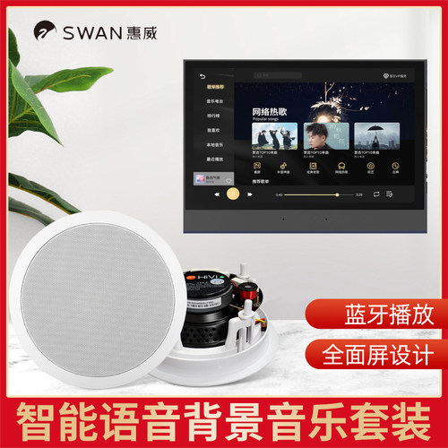 Hivi/惠威 VX6-C定阻同轴环绕立体声吸顶喇叭套装广播会议音响 - 图0