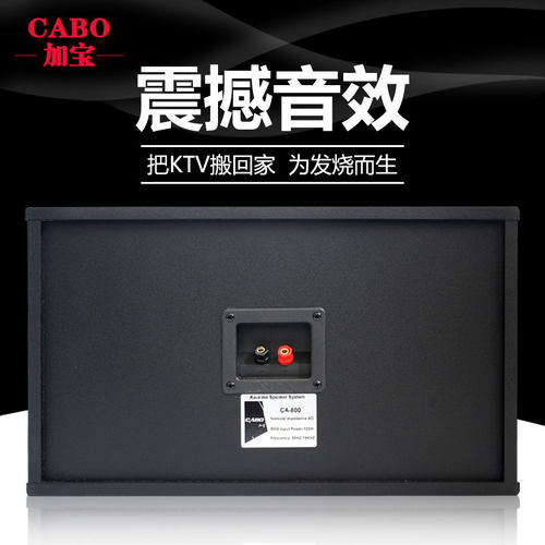 CABO/加宝 CA-1000 家庭ktv卡拉ok音响 会议室专业卡包音箱 - 图2