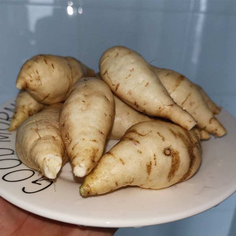 白皮小10斤人参蜜薯糖心生地瓜白薯 豫薯香番薯