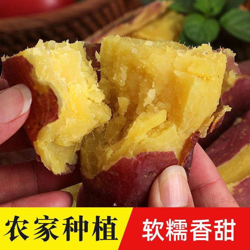 河南正宗红心蜜薯农家自种板栗红薯 豫薯香番薯