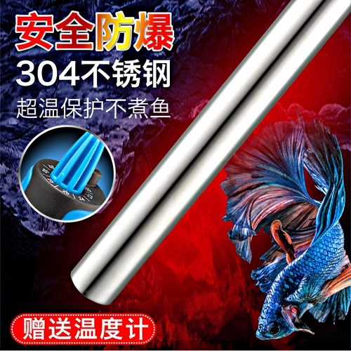 Ючжун Специальная посоветовала маленькую черепаху Черепахи Черепахи Черепаха, отправившись в упаковку и недостатки, недостатки плохие теплые