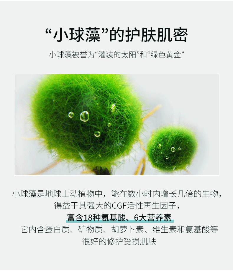 正品韩熙贞小球藻植物活颜精华液 片补深层水保湿女护肤品 1.5mlx30 正品韩熙贞小球藻植物活颜精华液 片补深层水保湿女护肤品 1.5mlx30