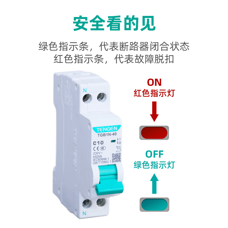 TENGEN天正TGB1N-40双进双出空气开关DPN双线断路器DZ267家用1P+N - 图1