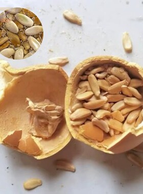 天然包浆玉化红皮葫芦文玩首年手把件国风摆件带龙头加压盘玩男g5
