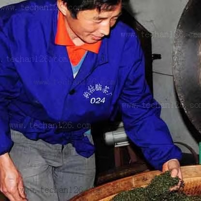 江西遂川狗牯脑茶2024新茶明前特贡全芽尖散装绿茶茶农直销500g - 图2