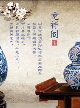景德镇陶瓷小花瓶手绘仿古将军