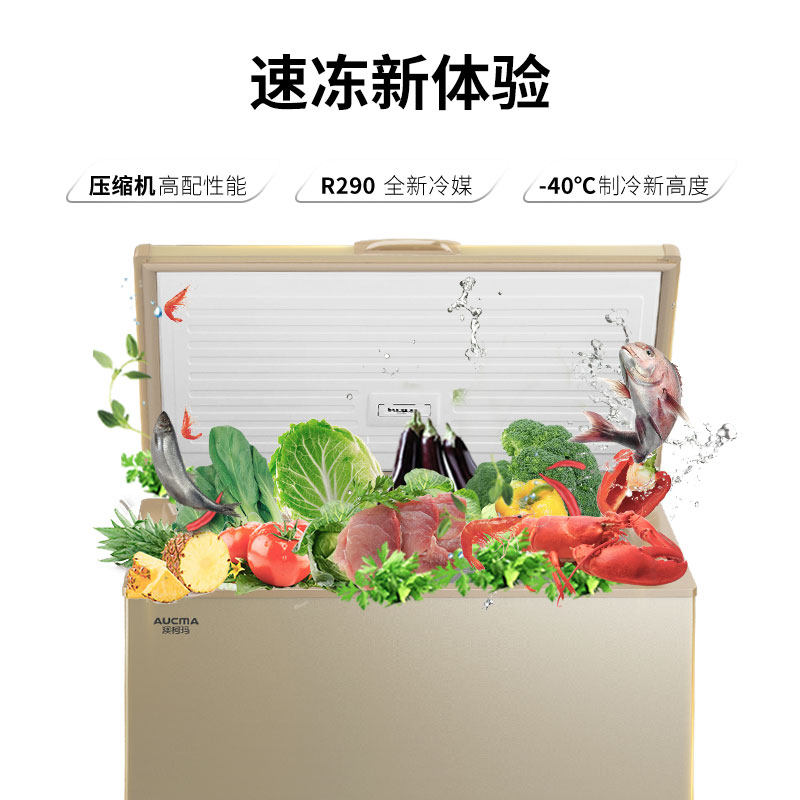 aucma /澳柯玛减霜-40度冷冻柜 向达电器冷柜