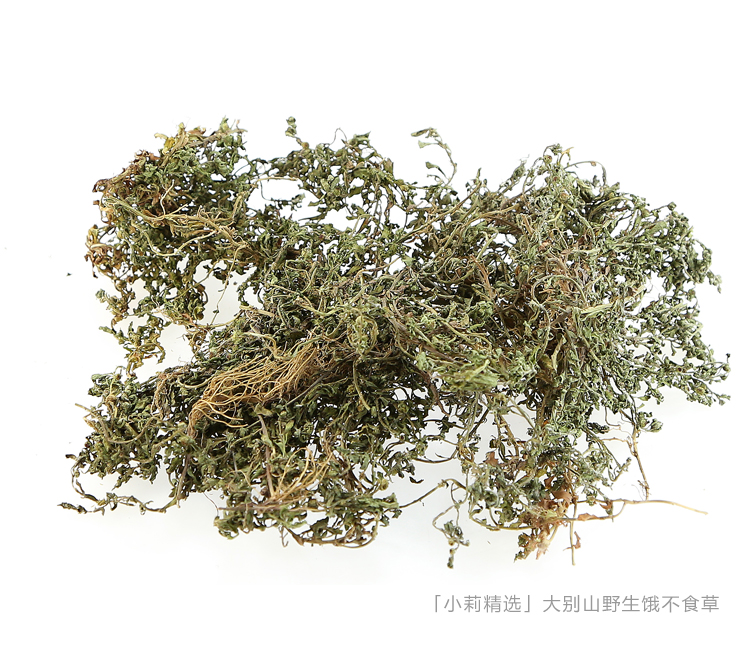 鹅不食草中药材鹅不吃草新鲜干草粉末非野生鹅不食饿不食草正品-图1