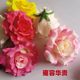Simulated roses large large rose wedding background rose wall decoration fake flower silk flower headdress flower Simulated roses large large rose wedding background rose wall decoration fake flower silk flower headdress flower