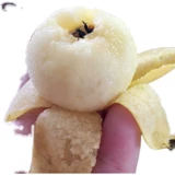 Suzhou Dongshan Baiyu белый песчаный фрукты Стандарт свежие фрукты свежие фрукты Pipa non -blue rice mi yitang Qi