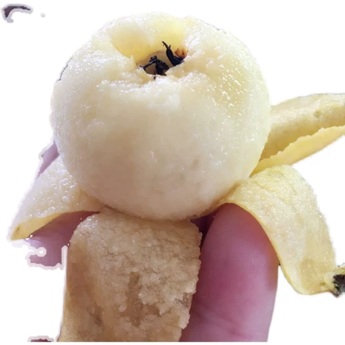 Suzhou Dongshan Baiyu белый песчаный фрукты Стандарт свежие фрукты свежие фрукты Pipa non -blue rice mi yitang Qi