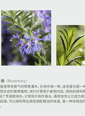 伊帕尔汗正品迷迭香单方精油