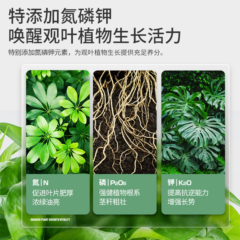 史丹利迷迭香营养土绿植专用室内盆栽土壤盆景泥炭透气疏松绿植土 - 图2