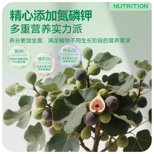 史丹利无花果专用肥发酵豆粕有机肥果树植物盆栽种植颗粒复合肥料 - 图2