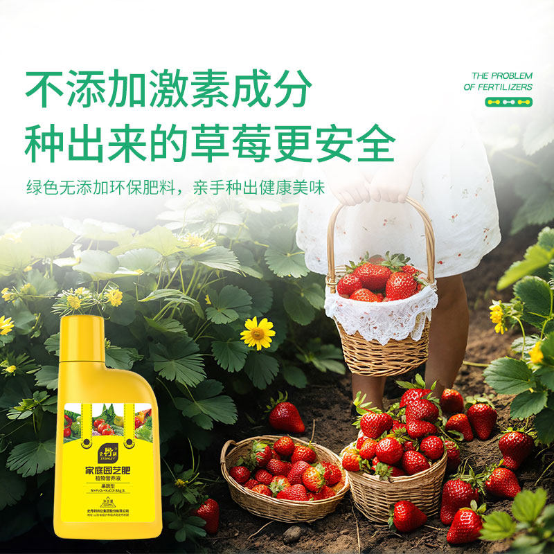 史丹利草莓专用肥营养液盆栽种植叶面肥平衡肥液体肥有机复合肥料,淘宝优惠券,粉丝福利购,淘宝优惠卷
