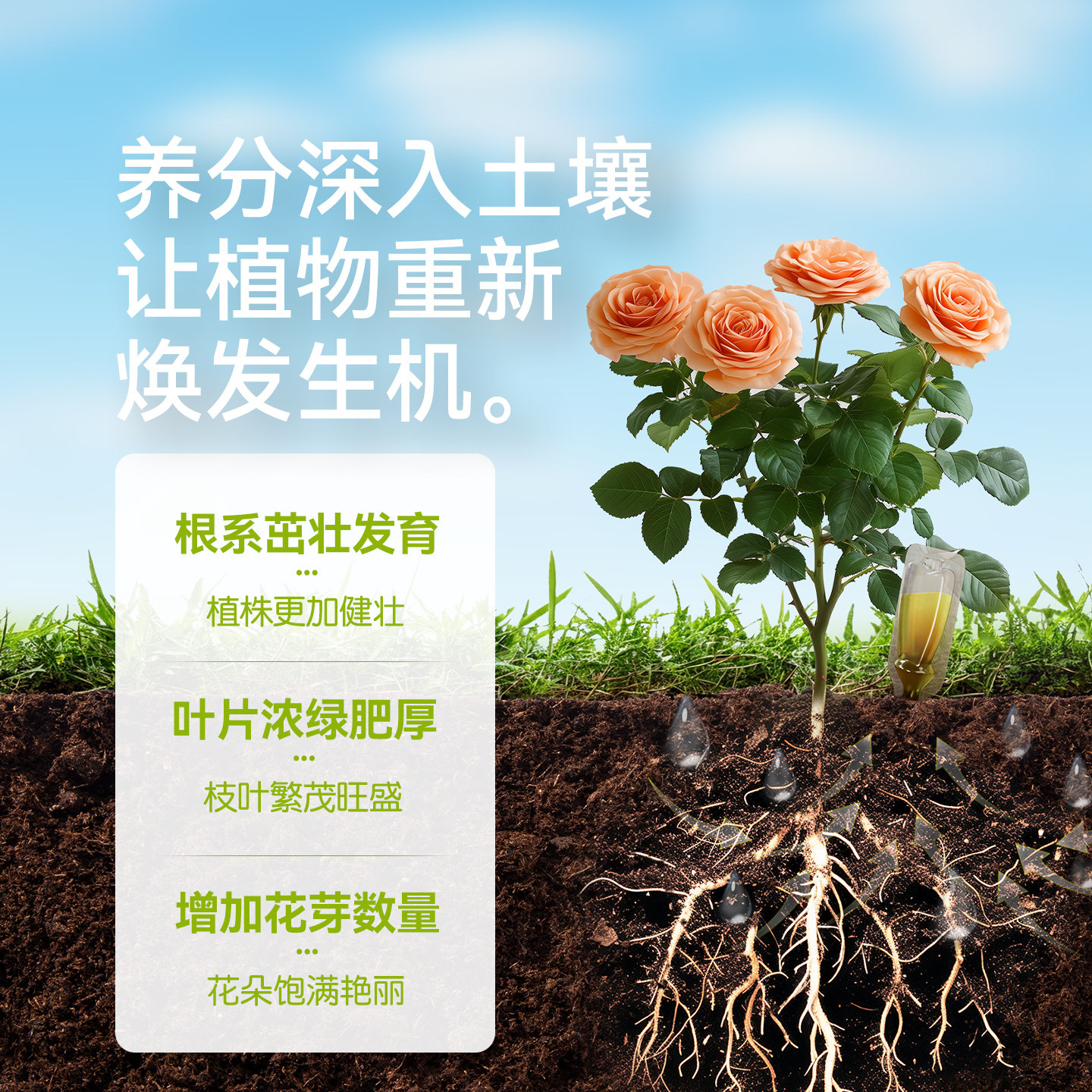 史丹利植物生根剂营养液壮苗快速移栽生根粉再生强力生根水液扦插,淘宝优惠券,粉丝福利购,淘宝优惠卷