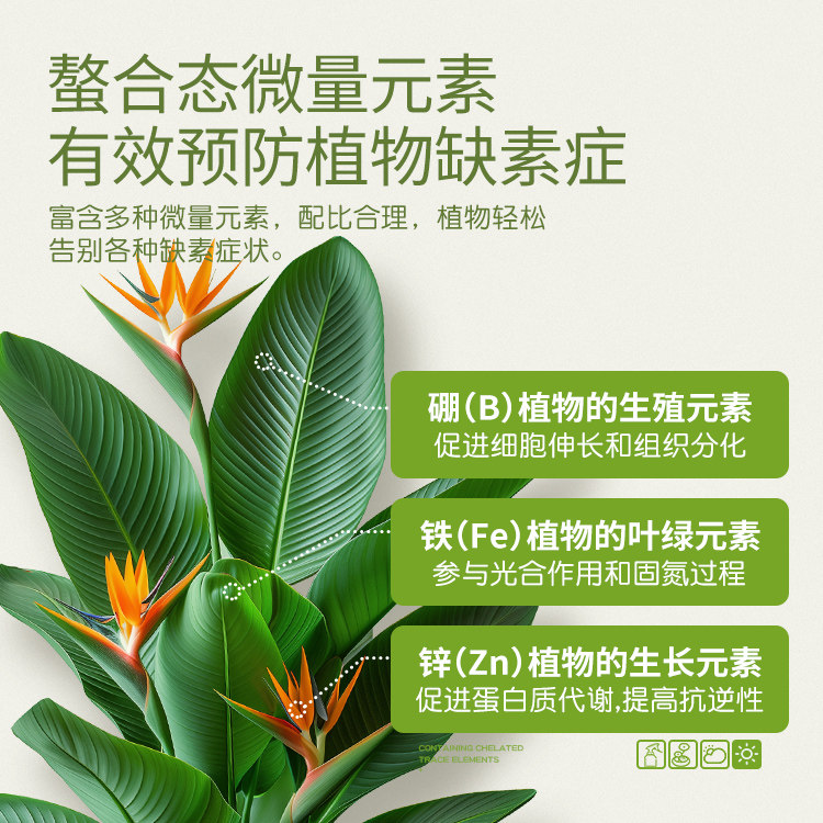 史丹利三角梅开花专用肥水溶肥梅花花卉盆栽花肥颗粒催花复合肥料,淘宝优惠券,粉丝福利购,淘宝优惠卷