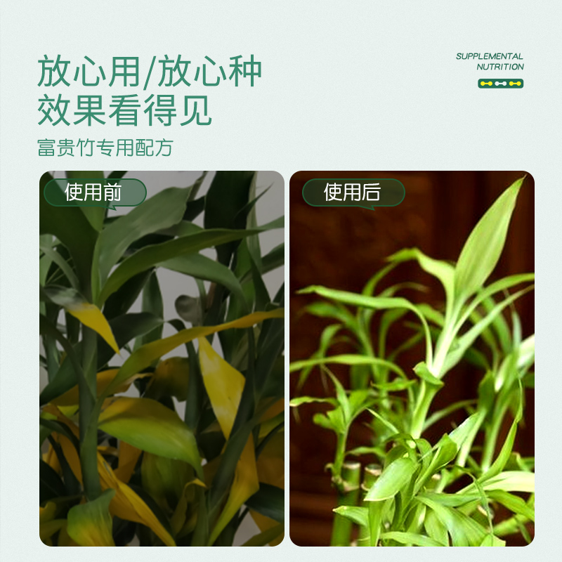 史丹利富贵竹专用营养液水培植物通用养转运竹发财竹龙竹生根肥料 - 图2