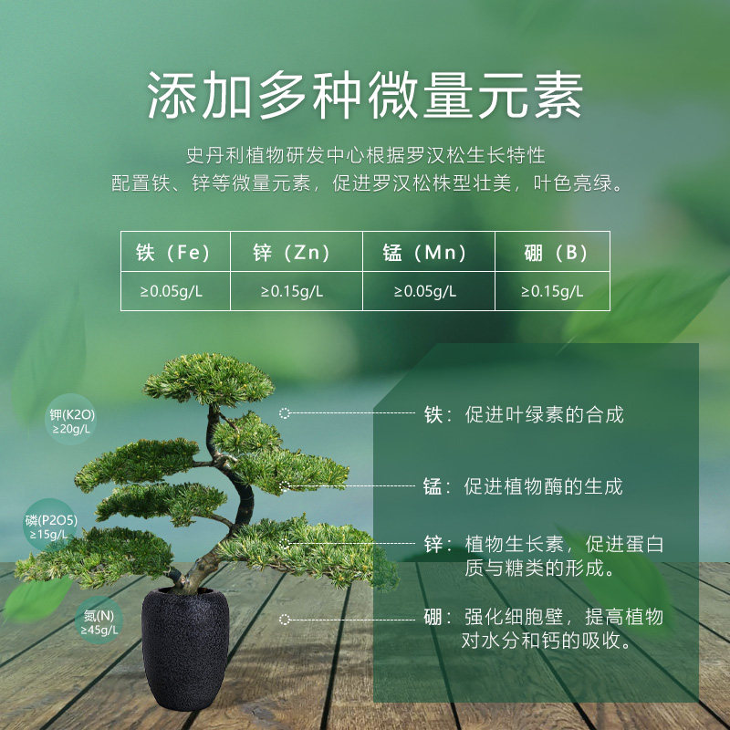 史丹利罗汉松肥料专用肥营养液盆栽泰山松雀舌四季松树盆景复合肥,淘宝优惠券,粉丝福利购,淘宝优惠卷