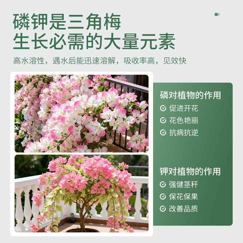 史丹利三角梅专用磷酸二氢钾花卉盆栽通用氮磷钾花肥花用水溶肥料,淘宝优惠券,粉丝福利购,淘宝优惠卷