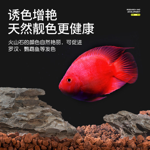 史丹利火山石鱼缸专用底砂颗粒造景火山岩古法养鱼材料天然过滤材 - 图2
