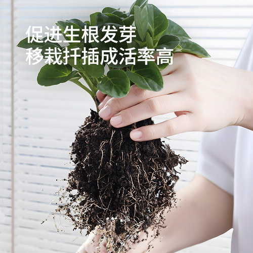 史丹利生根粉快速植物通用树木移栽生根剂壮苗强力生根液扦插专用 - 图2