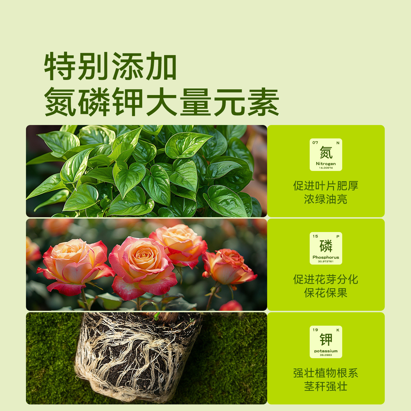 史丹利疏松透气营养土养花通用型专用种植土花土家用种花种菜土壤,淘宝优惠券,粉丝福利购,淘宝优惠卷