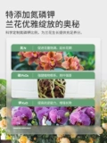 Стэнли Орхидея Специальная тушринная орхидея Phalaenopsis пищевая сосна кора Посадка посадка посадка цветочной почвы