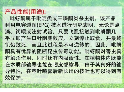 威远紫电50%吡蚜酮菊花水稻 稻飞虱蚜虫农药杀虫剂包邮 - 图1