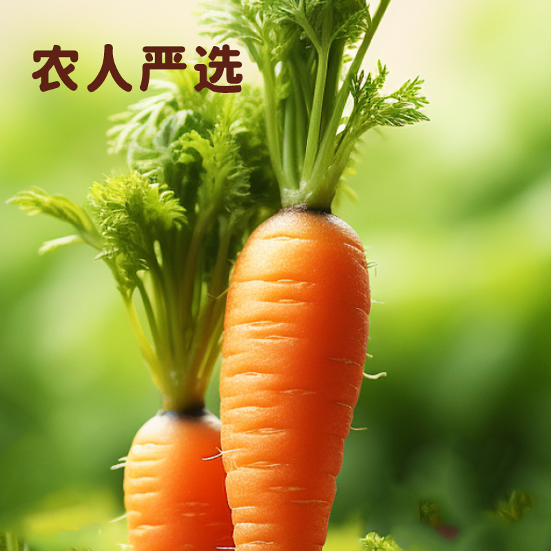 比逗仕胡萝卜多多儿童果汁含叶黄素酯益生菌发酵灭菌型果蔬汁饮料