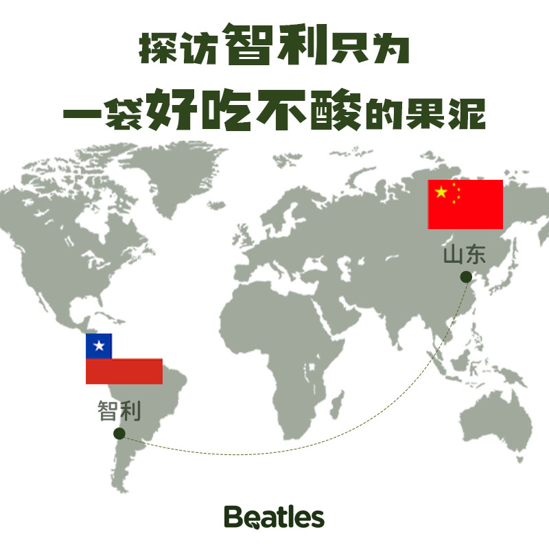 比逗仕有机婴幼儿进口果泥儿童宝宝辅食苹果维生素C水果6月+袋装
