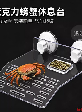 乌龟晒台高水位亚克力深水晒背挂壁巴西背台乌台家用鱼缸宠物龟