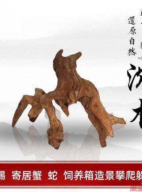 摆件栖根根雕树桩微景精品随机发水族树枝乌龟蜂窝装饰免煮沉木装