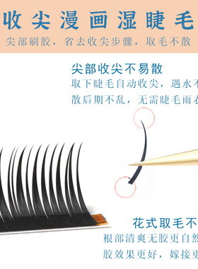 圣菲纳单根多取自动收尖漫画款