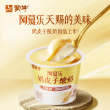 蒙牛阿慕乐奶皮子酸奶135g/杯 拍10件; 券后37.9元顺丰冷运包邮