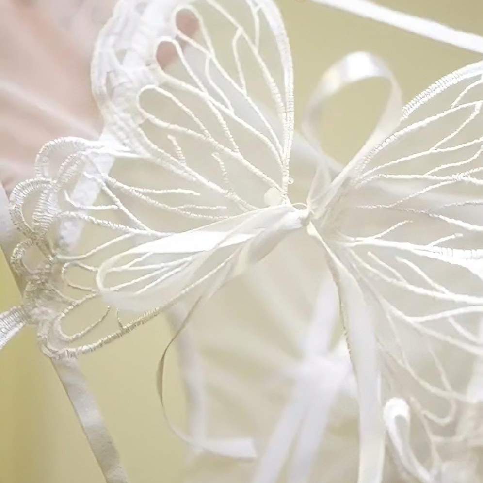 性感蕾丝蝴蝶内裤纯欲网纱开档蝴蝶结可解系带镂空绑带低腰三角裤,淘宝优惠券,粉丝福利购,淘宝优惠卷