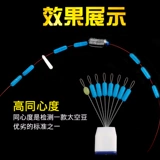 Большой лесной фасоль гигантский бобовый бобовый спортивный большой эмурген кремниевый кремниевый кремниевый кожа боб голуба