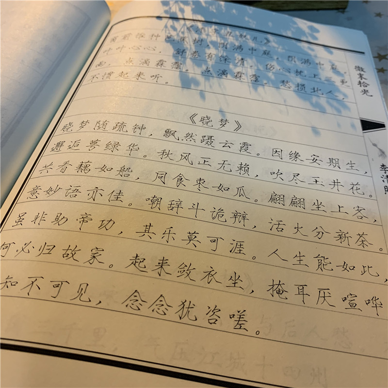 《瘦金体》 谢怜 花城 魏无羡 蓝忘机歌词语录字帖 - 图0