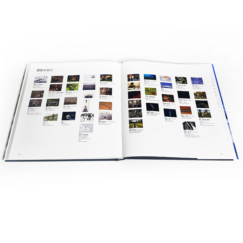 万物有灵 国际野生生物摄影年赛第55届获奖作品 歌颂地球生命与自然之美 环保主题艺术摄影集册书籍 后浪正版