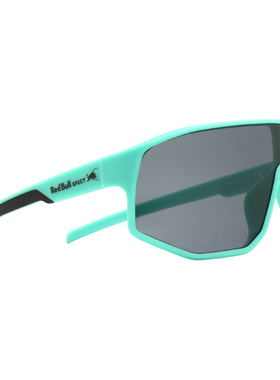 奥地利Red Bull Spect Eyewear太阳镜Dash户外骑行眼镜