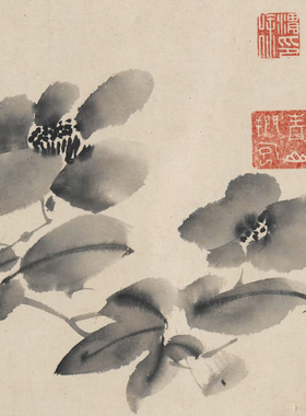 徐渭十二墨花图高清临摹画稿底稿