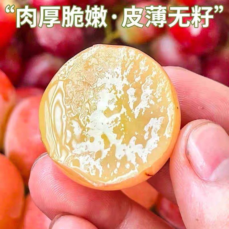 正宗云南妮娜皇后葡萄无籽红宝石应当季新鲜提子女皇红提顺丰空运