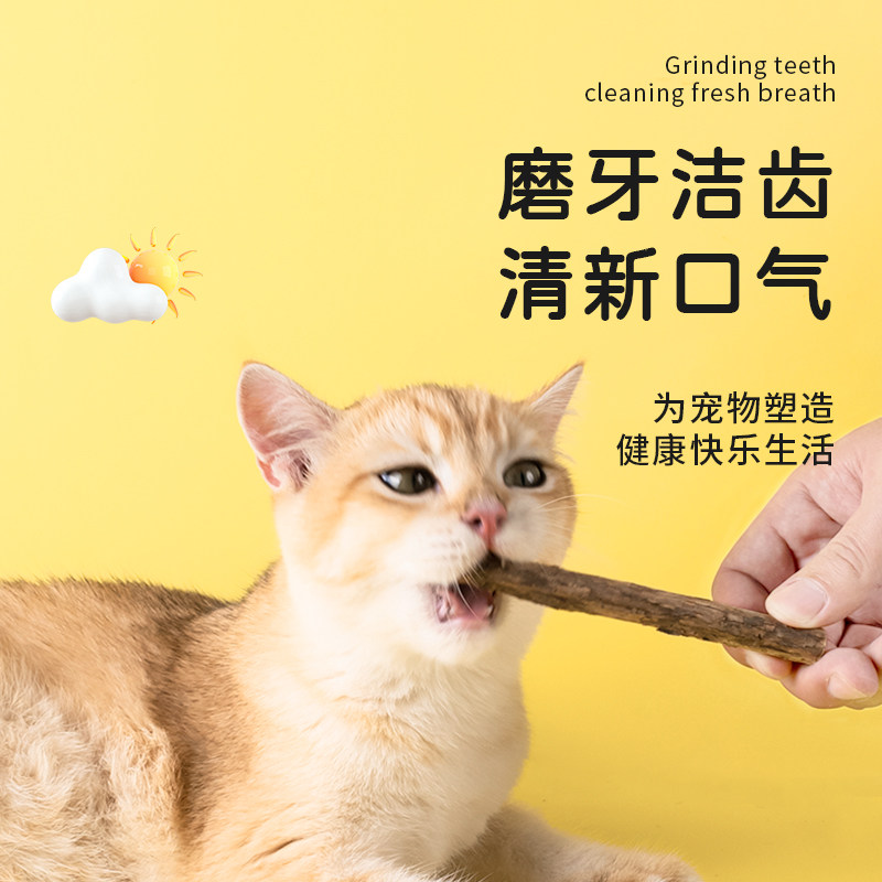猫咪磨牙棒木天蓼棒猫磨牙棒洁齿棒幼猫猫薄荷猫草猫咬棒猫零食虎窝淘 
