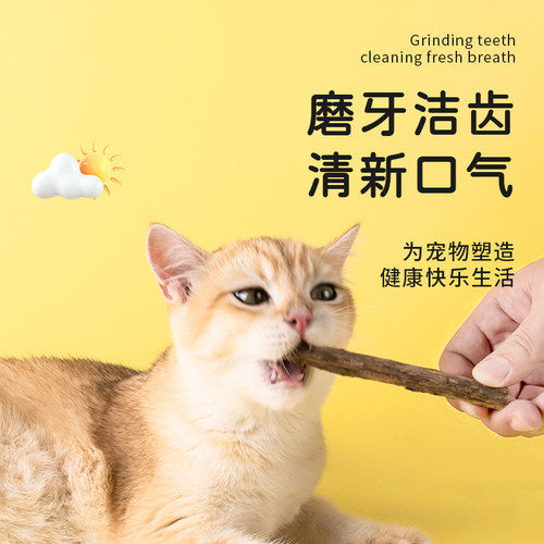 猫咪磨牙棒木天蓼棒猫磨牙棒洁齿棒幼猫猫薄荷猫草猫咬棒猫零食 - 图1