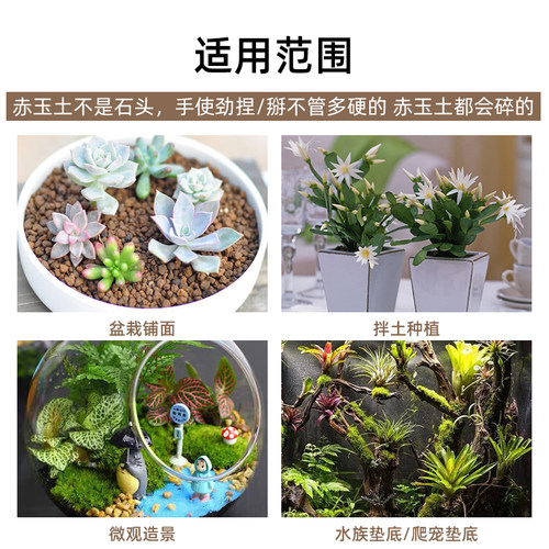 好吉二本线三本赤玉土硬质多肉颗粒盆景通用营养土水陆缸造景土 - 图2