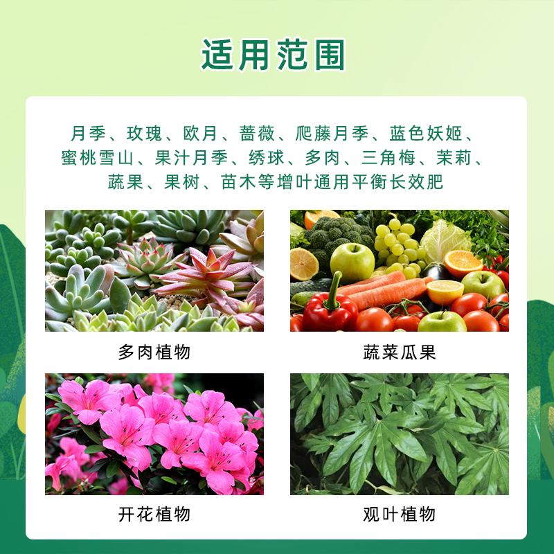 奥绿318S月季欧月玫瑰蔷薇专用缓释肥盆栽绿植花卉多肉蔬果控释肥-图2