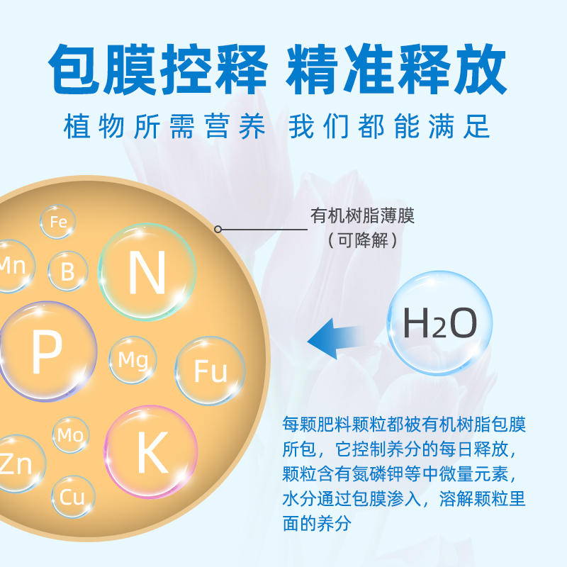 奥绿肥A2多肉专用缓释肥长效控释肥318s月季玫瑰花肥绿萝营养肥料-图1